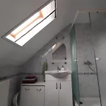 Dorina 잘라카로쉬
