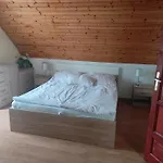 Dorina 잘라카로쉬